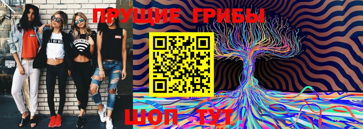 APVP Новочебоксарск