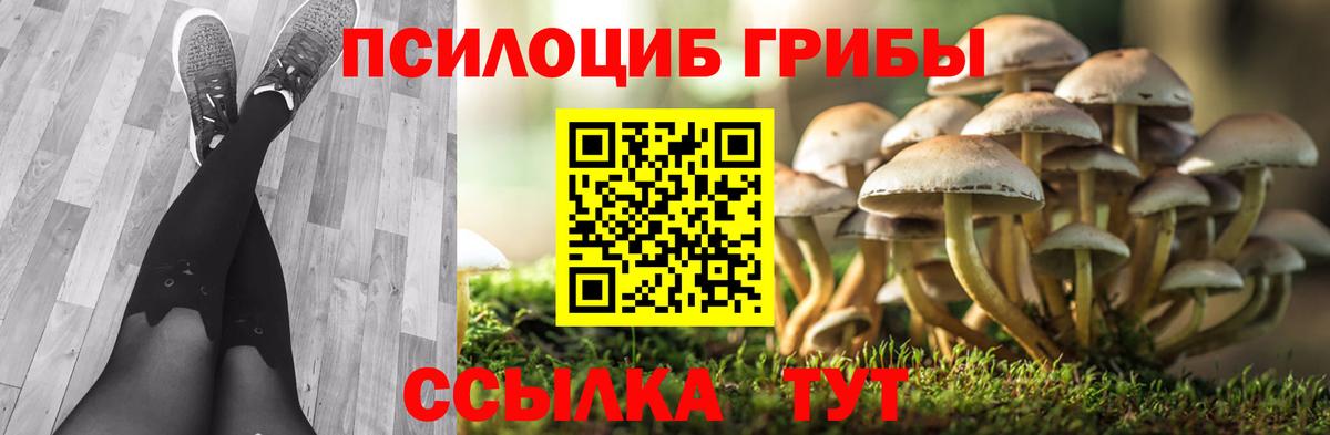 Новочебоксарск  Псилоцибиновые грибы Psilocybe  Вход с VPN 